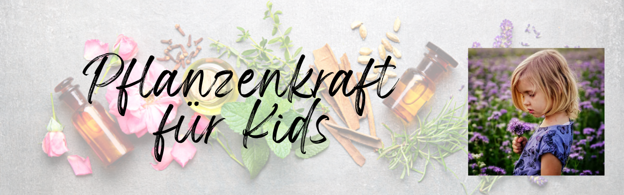 Header Pflanzenkraft für Kids