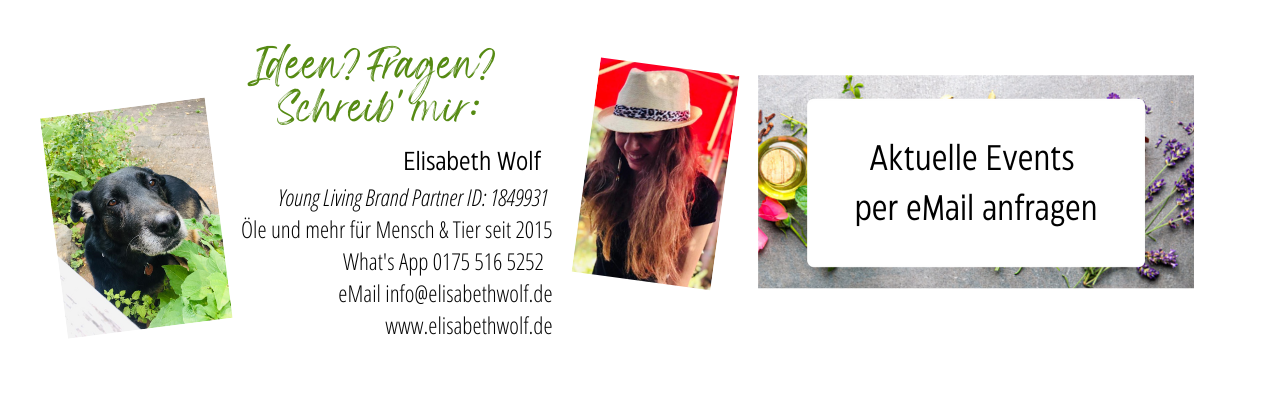 Grafik Kontakt info@elisabethwolf.de