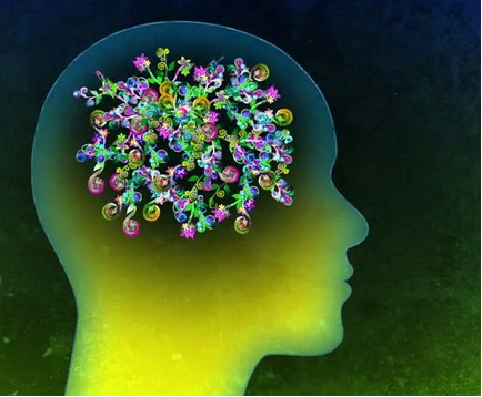 Bild Gehrin Konzentration