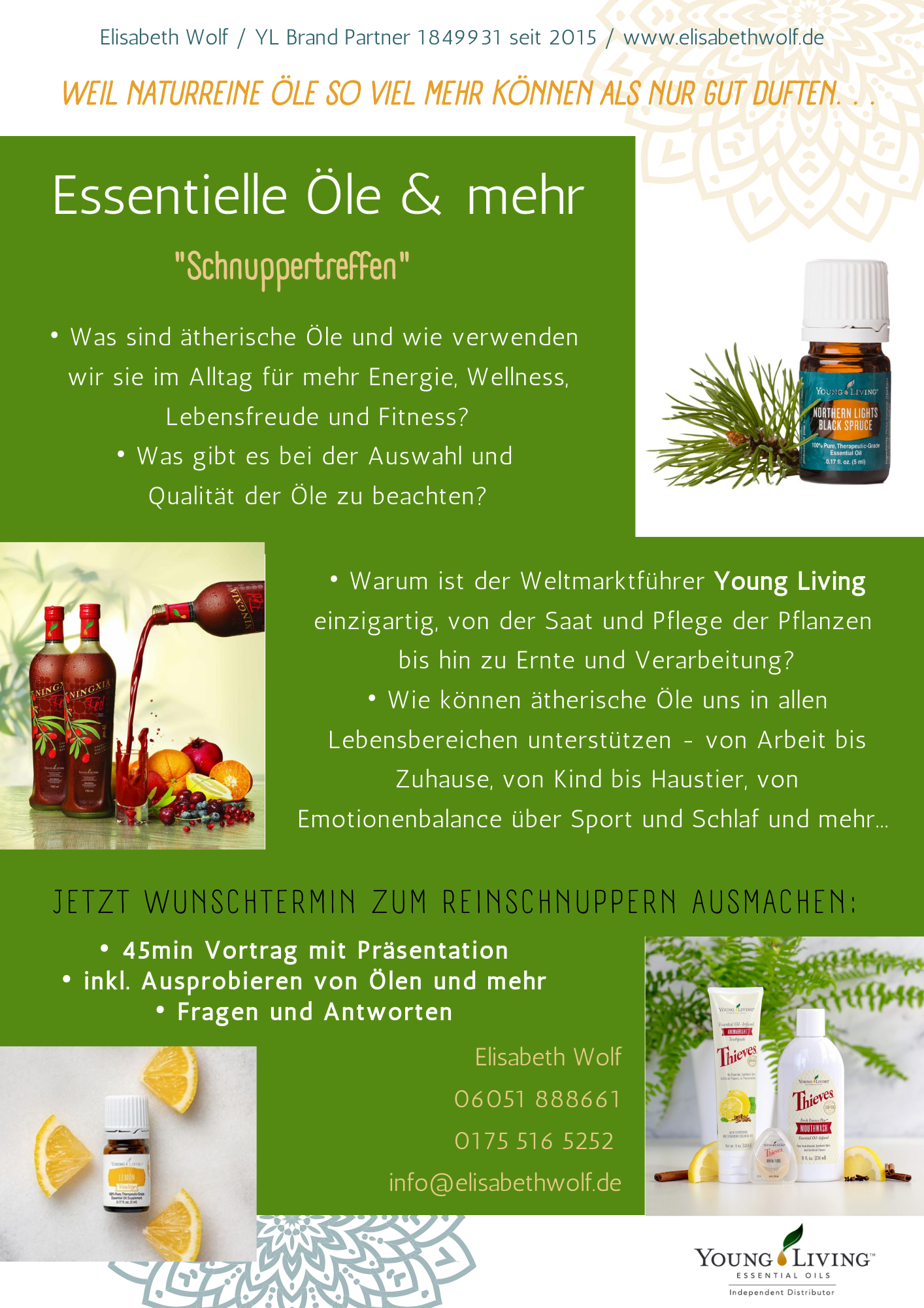 flyer einladung wird hier nicht angezeigt? bitte eMail an info@elisabethwolf.de